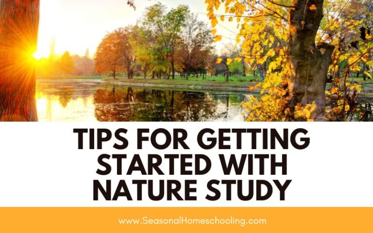 4 Tips for Getting Started with Nature Study