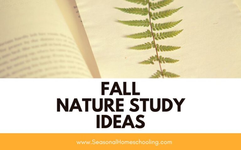 Fall Nature Study Ideas for Your Homeschool