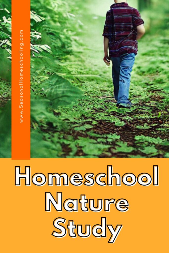child walking in the woods with Homeschool Nature Study text overlay