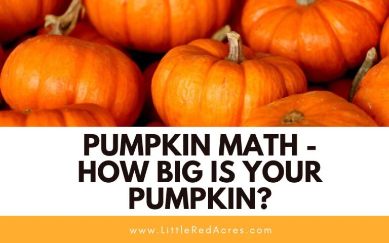 Pumpkin Math – How Big is Your Pumpkin?