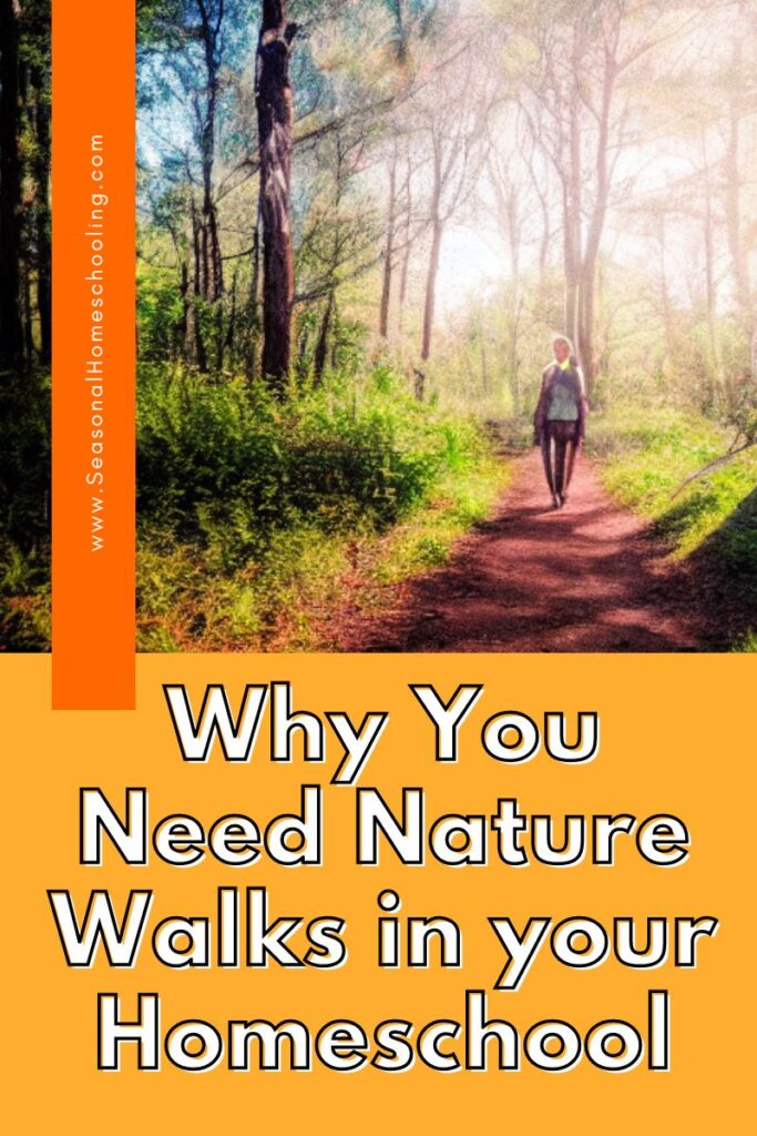 walking through the woods on a trail with Why You Need Nature Walks in your Homeschool text overlay
