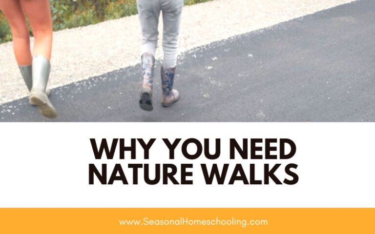 Why You Need Nature Walks in your Homeschool