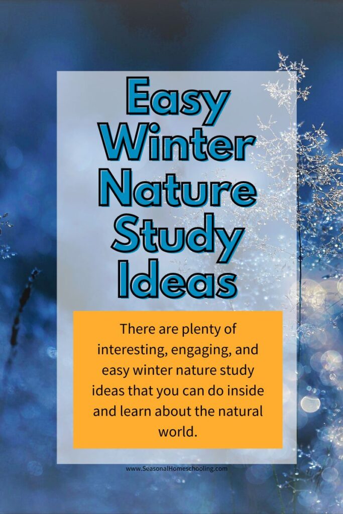winter scene with Easy Winter Nature Study Ideas text overlay