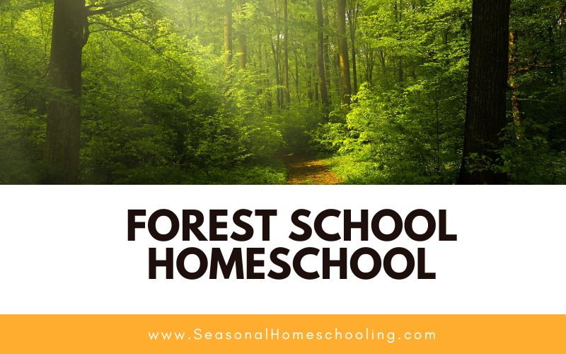 forest with Forest School Homeschool text overlay