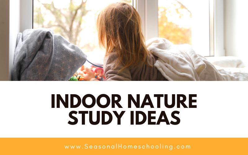 child looking out window with indoor nature study text overlay