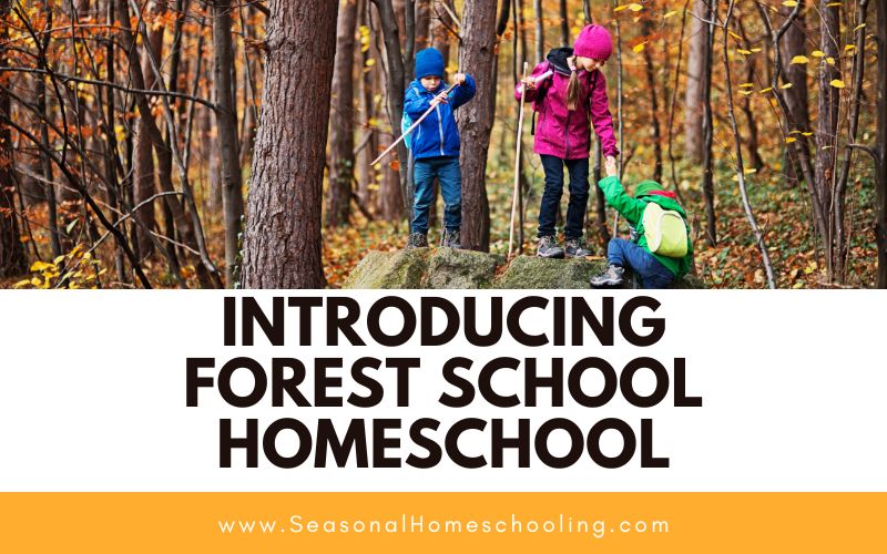 children in the woods with Introducing Forest School Homeschool text overlay