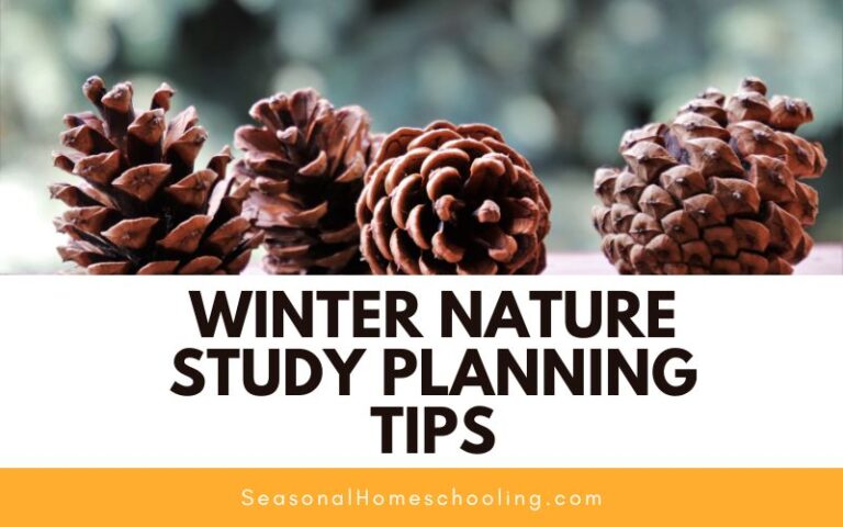Winter Nature Study Planning Tips
