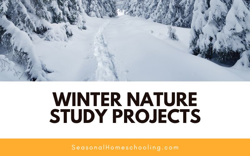 path through snow with Winter Nature Study Projects text overlay