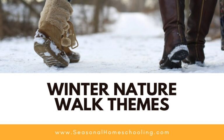 Winter Nature Walk Themes