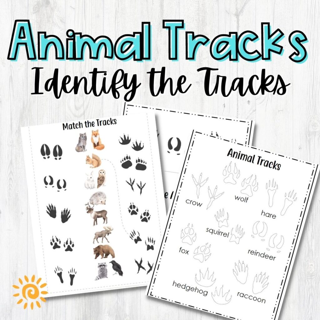 Animal Tracks Identify the Tracks Posters - Product Covers