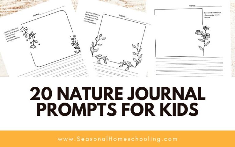 20 Nature Journal Prompts for Kids