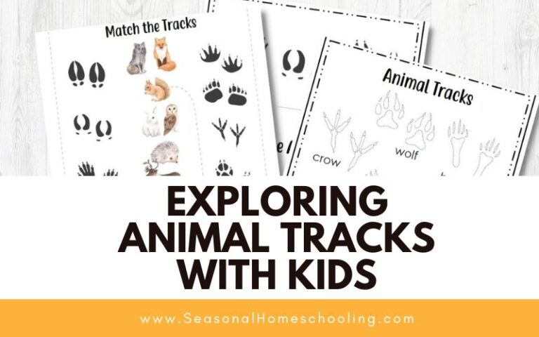 Let’s Go Tracking! Exploring Animal Tracks with Kids