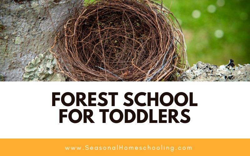 bird nest with Forest School for Toddlers text overlay