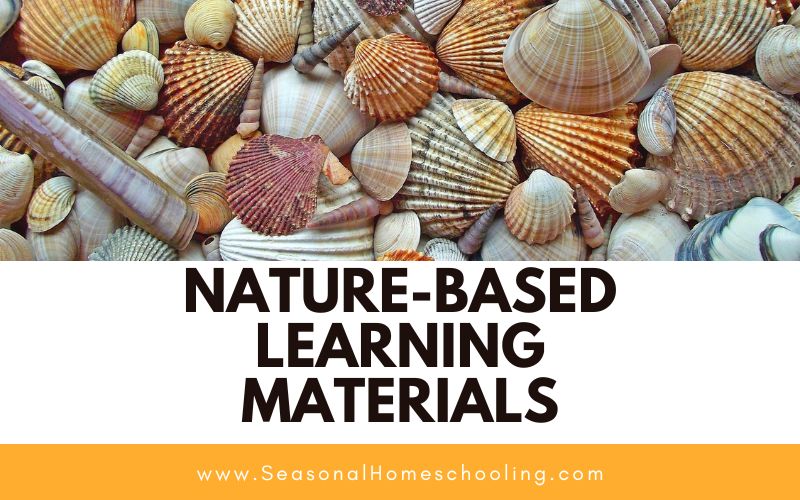 seashells with Nature-Based Learning Materials text overlay