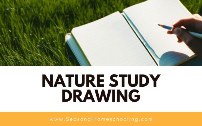 Nature Study Drawing