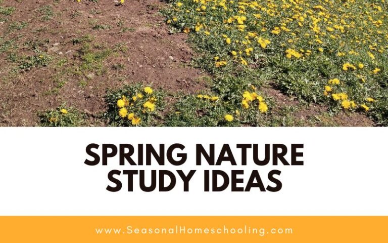 Spring Nature Study Ideas