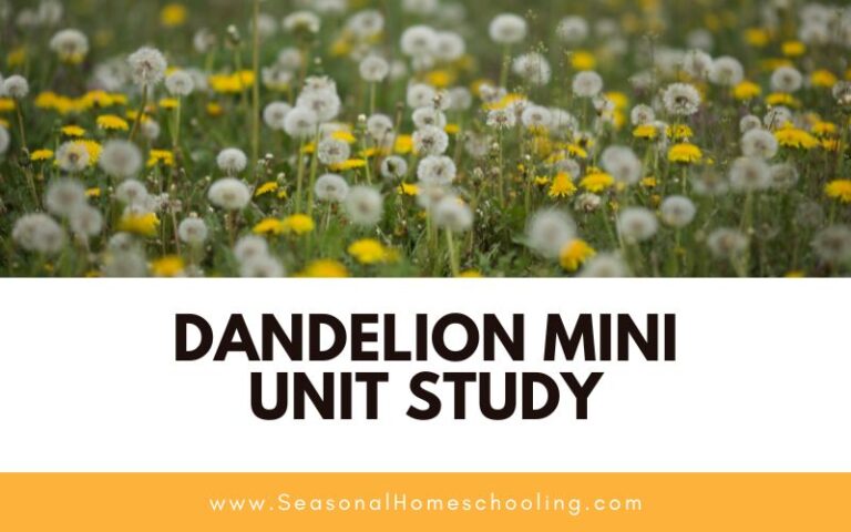 Dandelion Mini Unit Study