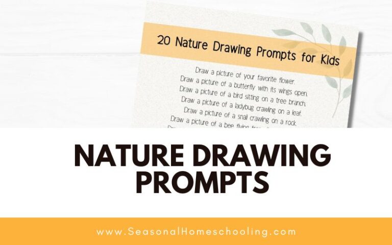 20 Nature Drawing Prompts for Kids