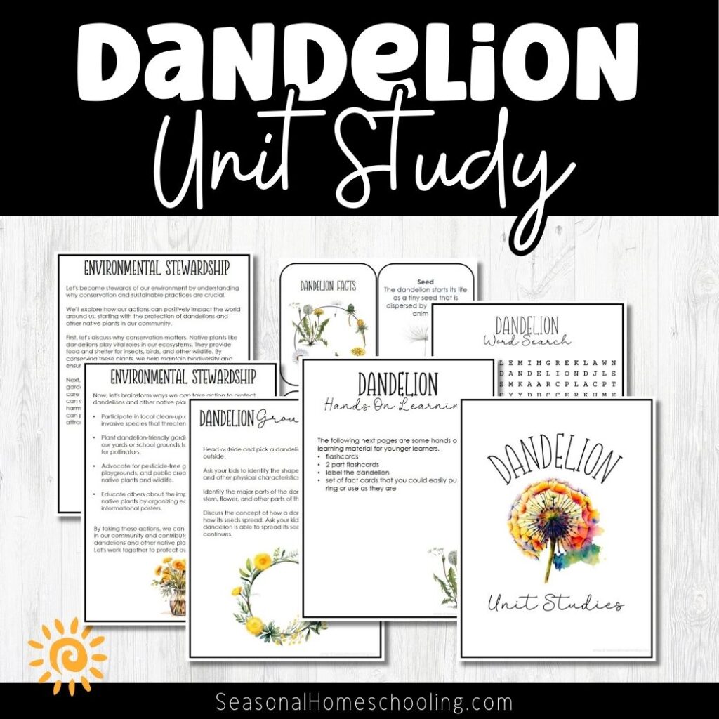Dandelion Mini Unit Study page samples