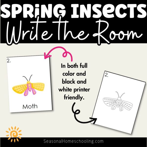 Spring Write the Room - Bugs - Insects samples