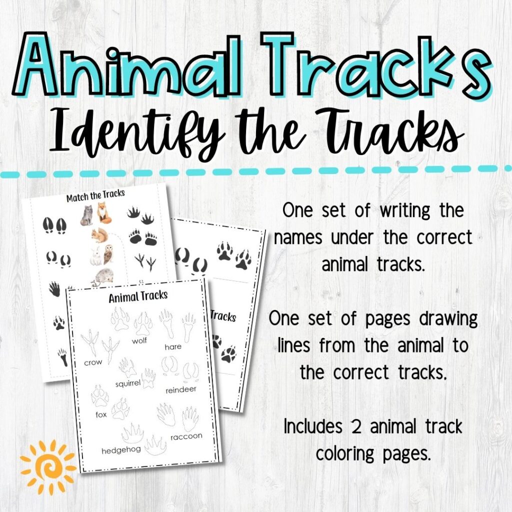 Animal Tracks Bundle