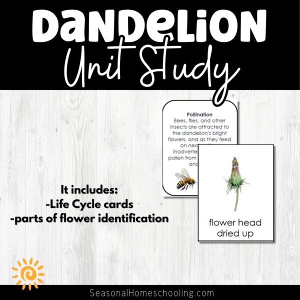 Dandelion Mini Unit Study page samples