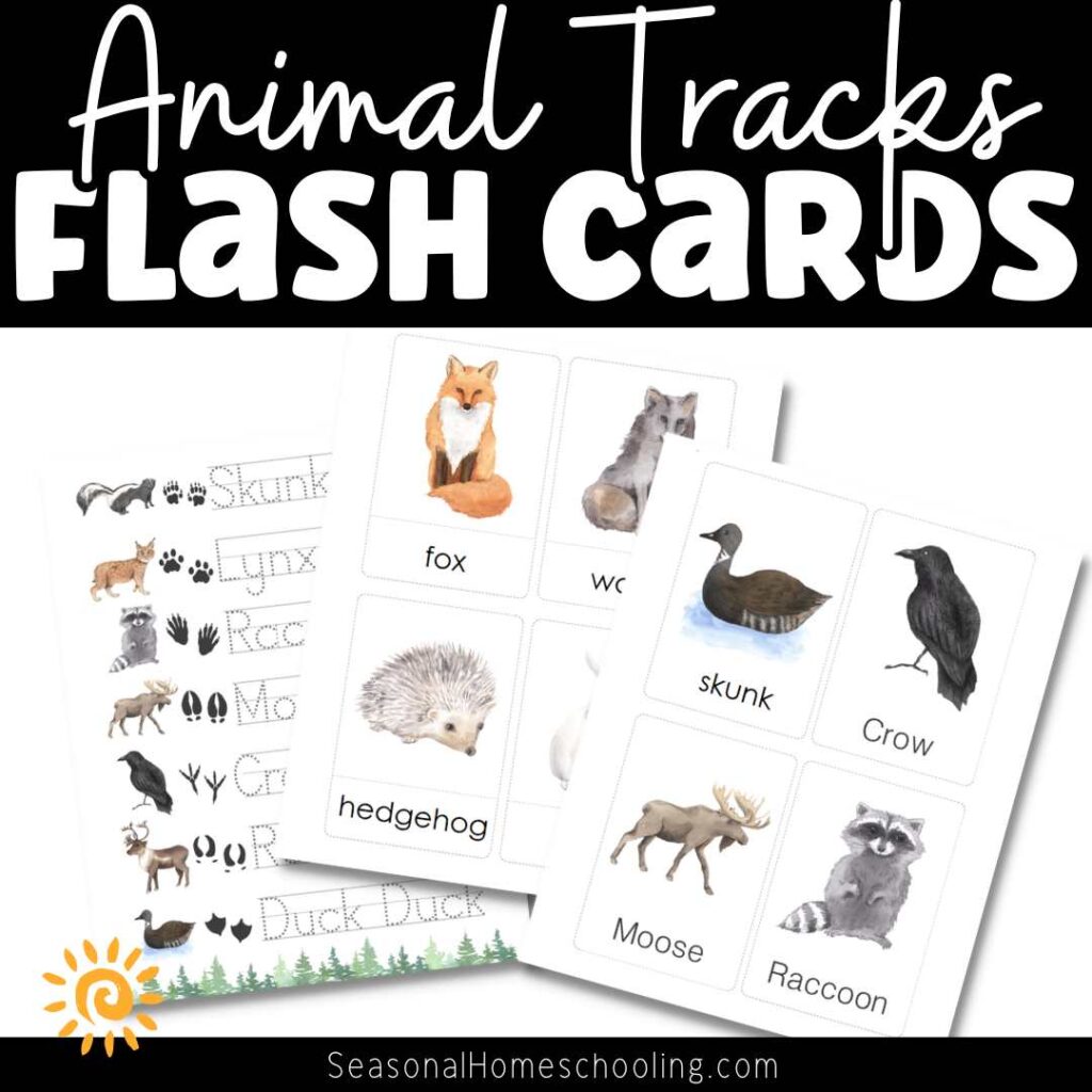 Animal Tracks Flash Cards samples