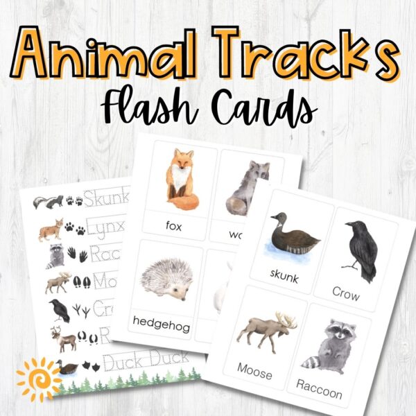 Animal Tracks Flash Cards sample pages