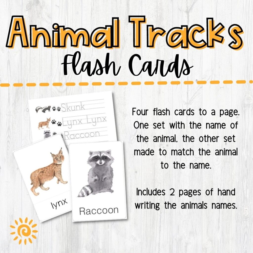 Animal Tracks Flash Cards samples of flash cards