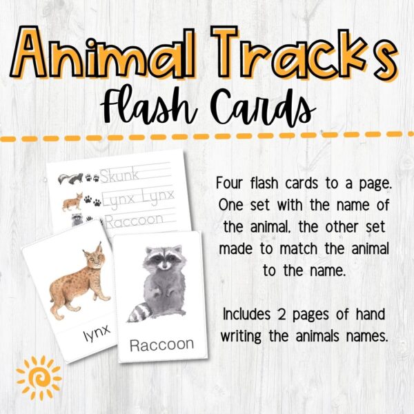 Animal Tracks Flash Cards samples of flash cards