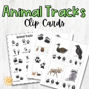 Animal Tracks Clip Cards page samples