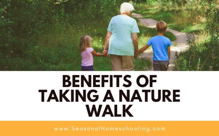 Benefits of Taking a Nature Walk