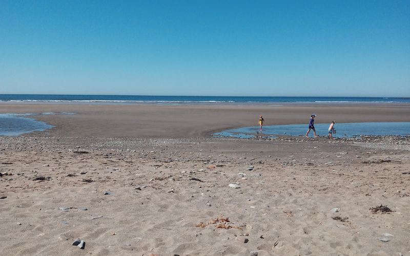 children exploring a beach