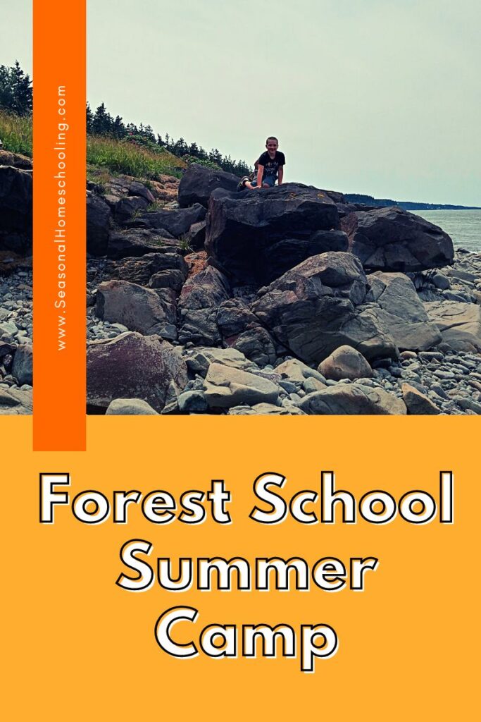 child on bach rocks with Forest School Summer Camp text overlay