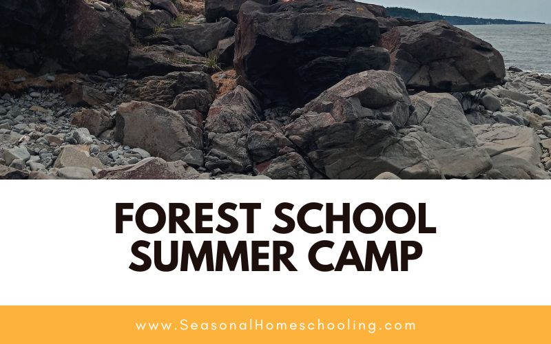 beach rocks with Forest School Summer Camp text overlay