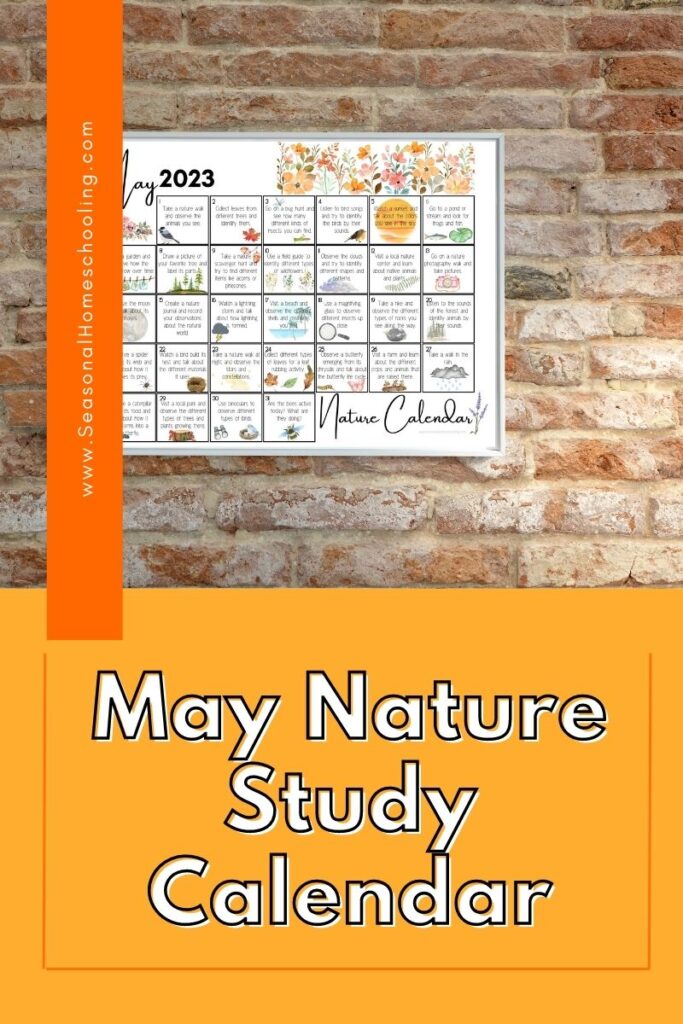 may calendar on brick wall with May Nature Study Calendar text overlay