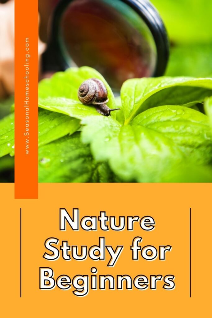 looking at a snail on a leaf with Nature Study for Beginners text overlay