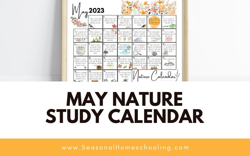 may calendar on brick wall with May Nature Study Calendar text overlay