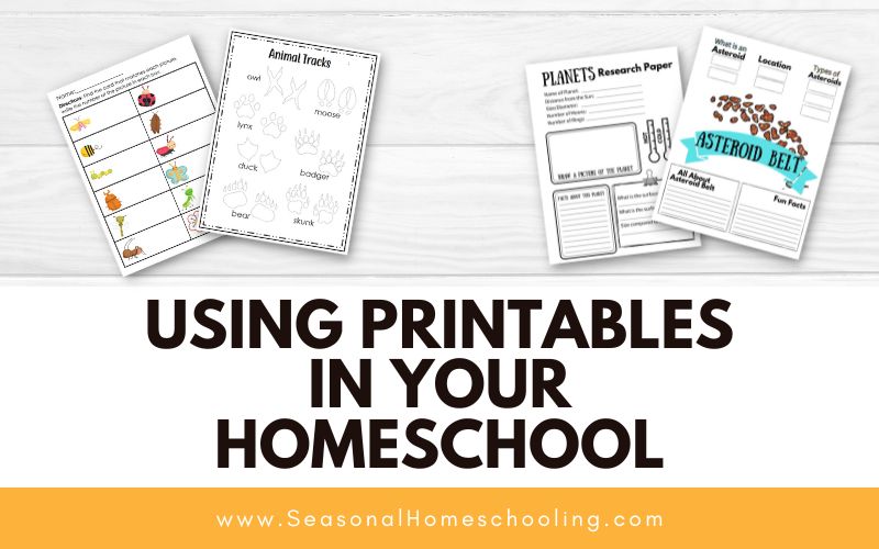 sample of worksheets from shop with Using Printables in Your Homeschool text overlay