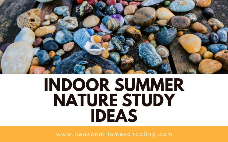 pile of rocks with Indoor Summer Nature Study Ideas text overlay