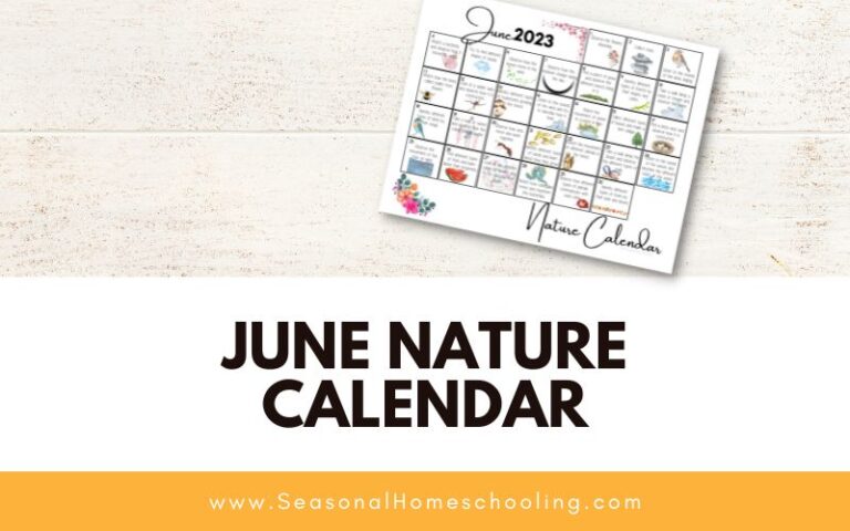 June Nature Calendar for Homeschool Families