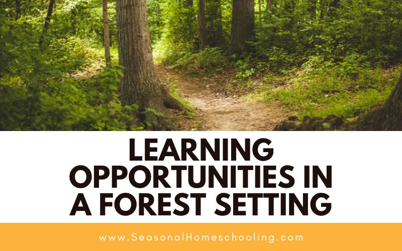 trail in the woods with Learning Opportunities in a Forest Setting text overlay