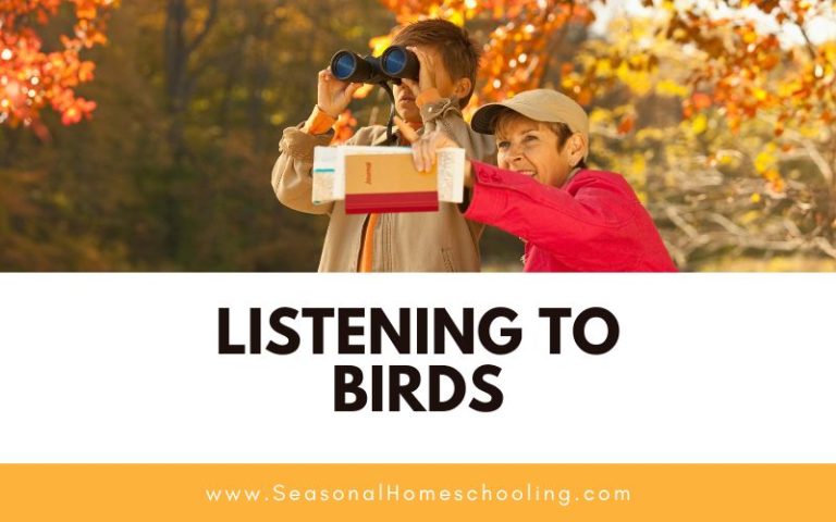Listening to Birds