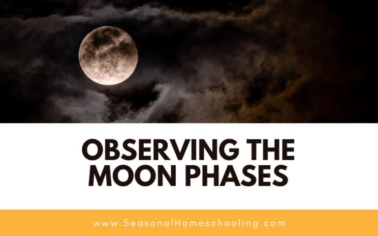 Observing the Moon Phases