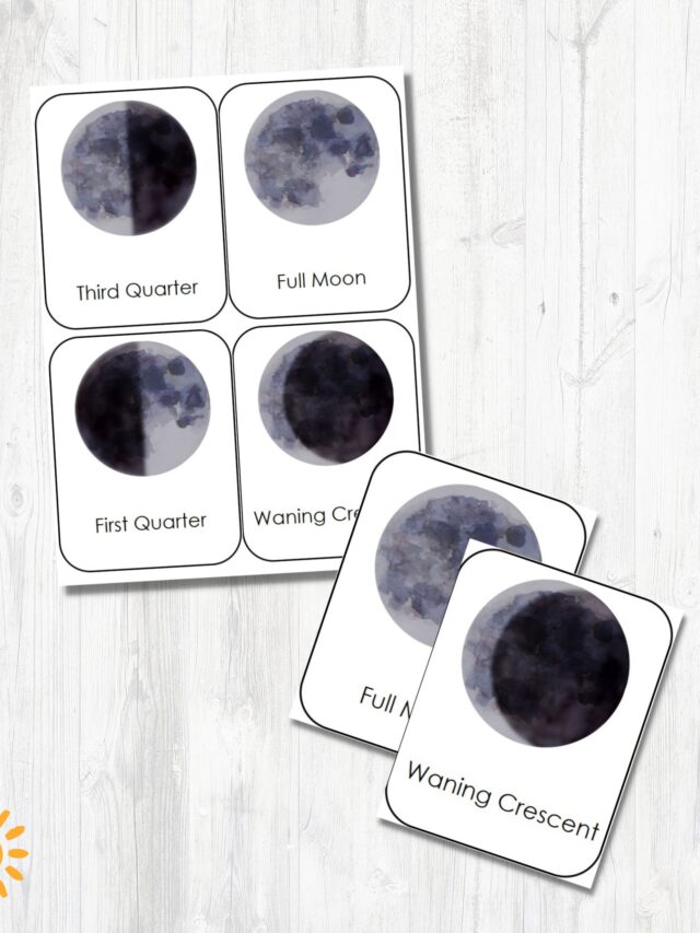 Moon Phase Flashcards