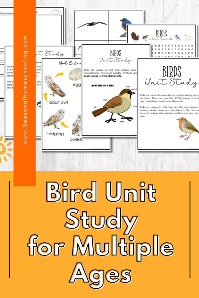 Sample of pages in Bird Unit Study