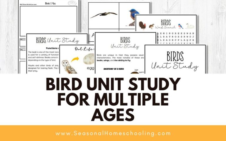 Bird Unit Study for Multiple Ages