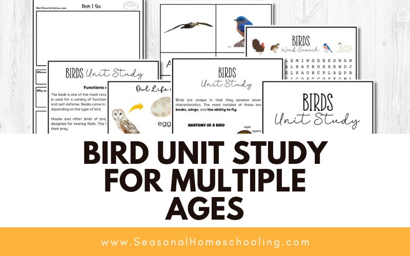Sample of pages in Bird Unit Study