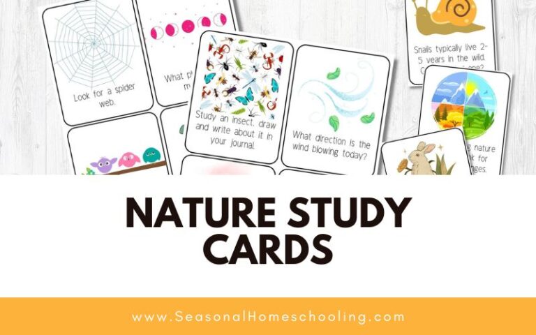 Nature Study Cards