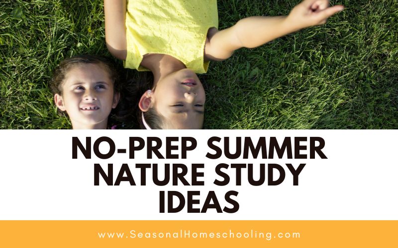 kids looking at clouds with No-Prep Summer Nature Study Ideas text overlay